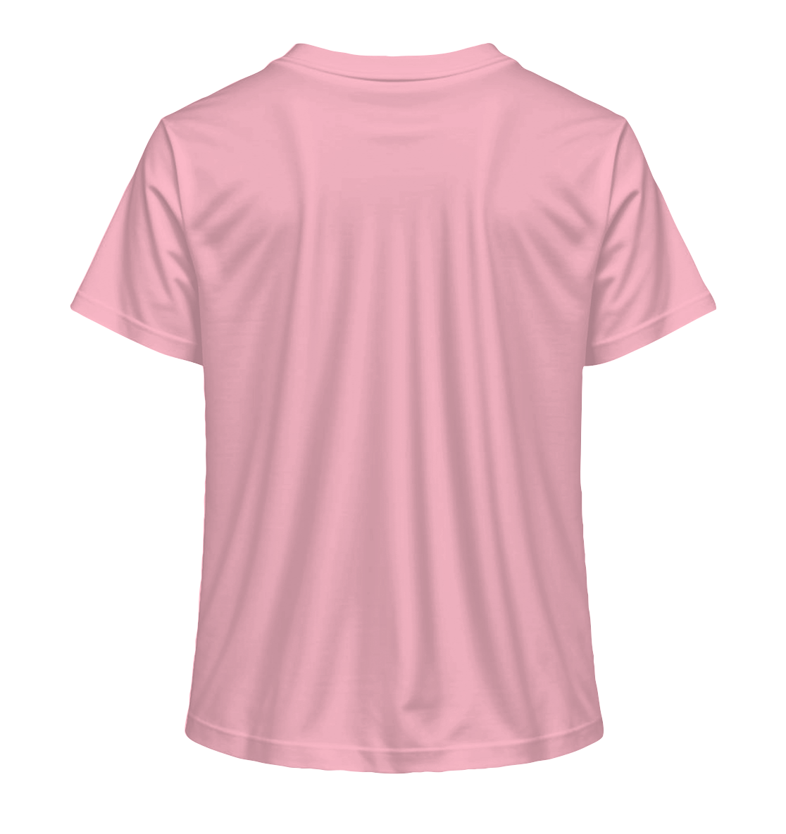 IP T-Shirts - Ladies Organic Shirt